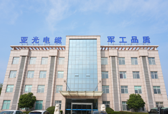 Yangzhou Yaguang Cable Co., Ltd.