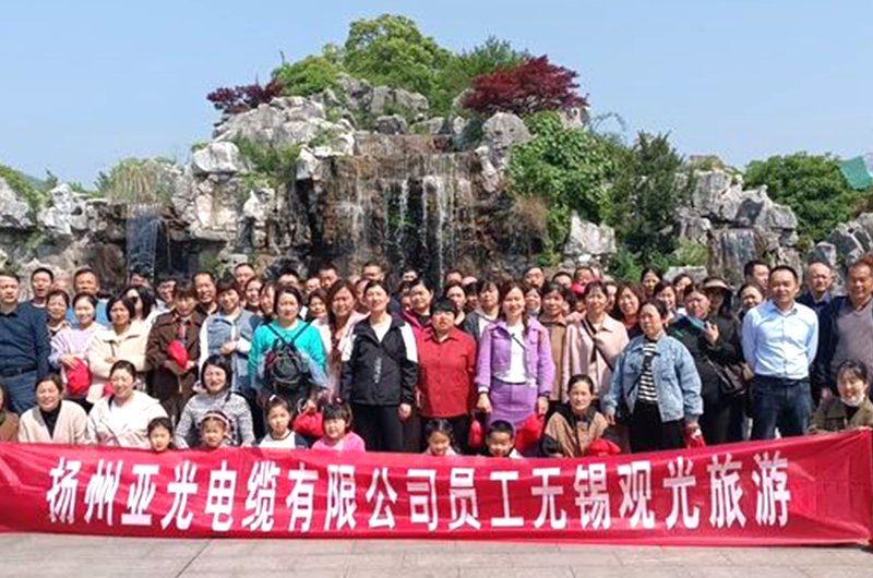 Yangzhou Yaguang Cable Co., Ltd.