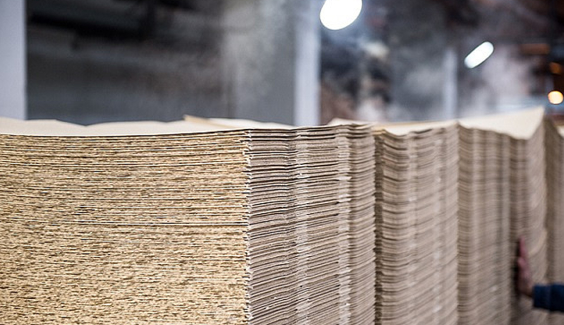 Proyek Pulp Shandong Rizhao